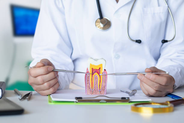 Best Emergency Wisdom Tooth Extraction in Bremen, IN